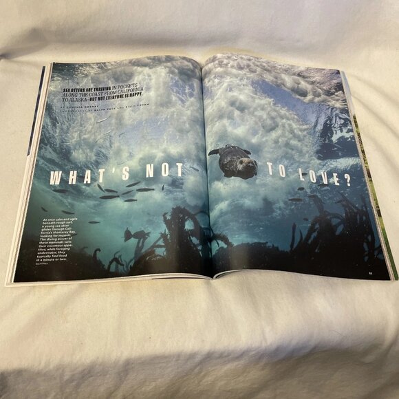 National Geographic February 2023 Origami Innovation Aging Japan Sea Otter Comeb - Picture 9 of 10